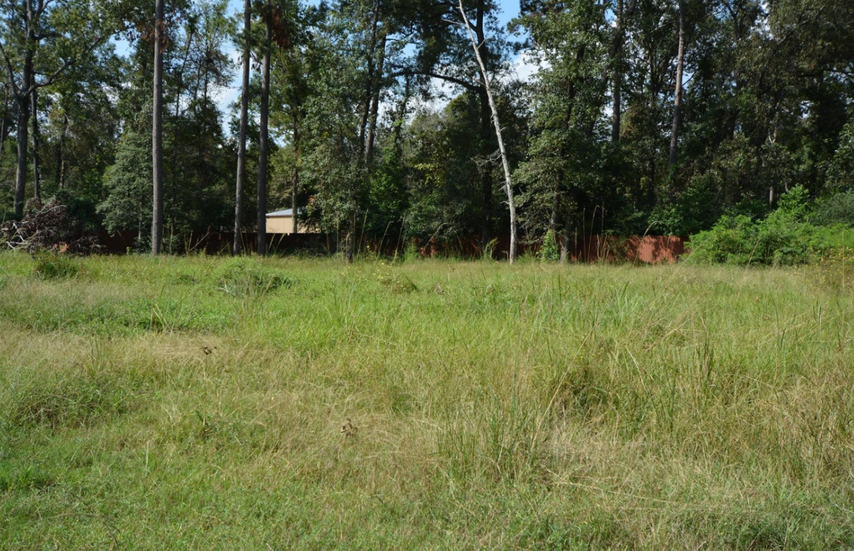 2 SUBDIVIDED LOTS IN MAGNOLIA COUNTY - 80,150 SQFT COMBINED! - Land in Conroe - Image 2 of 5