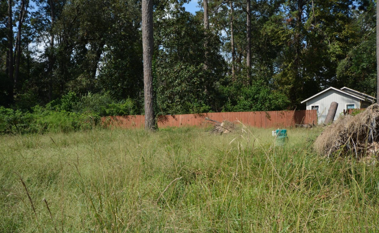 2 SUBDIVIDED LOTS IN MAGNOLIA COUNTY - 80,150 SQFT COMBINED! in Conroe — Land
