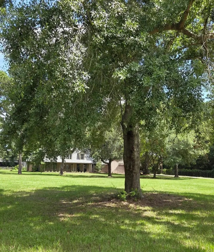 🏡 Home is More Than a Place... It's a Feeling ❤️ For sale - Houses in Houston - Image 8 of 10