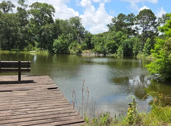 🏡 Home is More Than a Place... It's a Feeling ❤️ For sale - Houses in Houston - Image 9 of 10