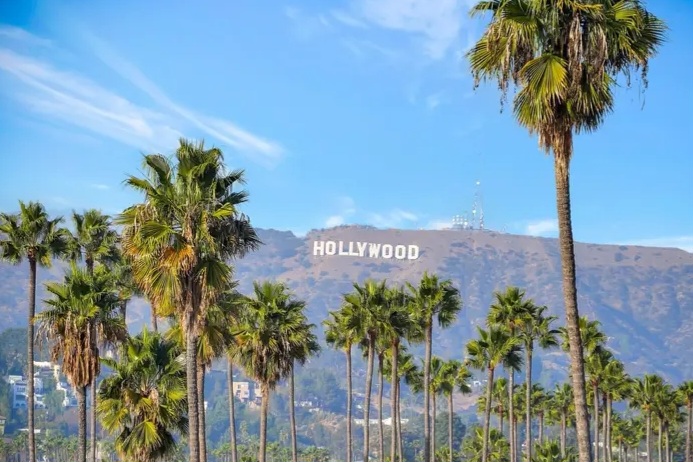 leasing new construction apt in Hollywood - Apartments in Hollywood - Image 5 of 5