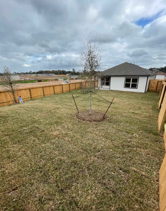 HOUSE FOR RENT IN MONTGOMERY, TX in Houston — Houses