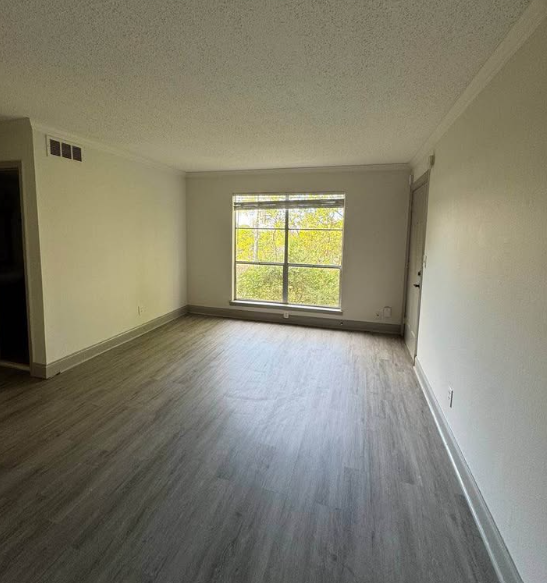 Apartment for rent in the Southside area, Highland Park, and downtown Birmingham in Birmingham — Apartments