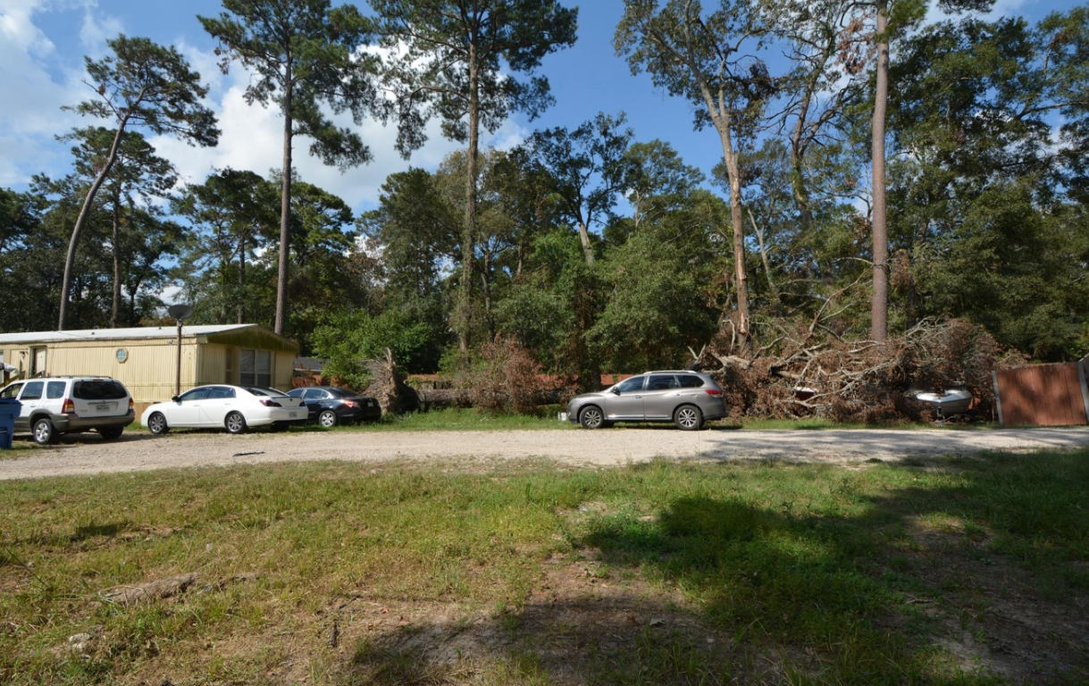 2 SUBDIVIDED LOTS IN MAGNOLIA COUNTY - 80,150 SQFT COMBINED! - Land in Conroe - Image 5 of 5