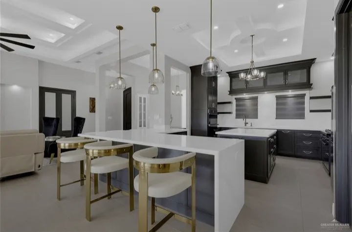 🏡 Luxury Modern Estate on 1 Acre in Edinburg - Houses in Edinburg - 이미지 4 of 5