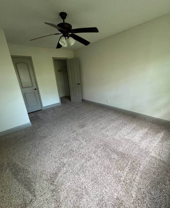 Apartment for rent in the Southside area, Highland Park, and downtown Birmingham - Apartments in Birmingham - Image 3 of 4